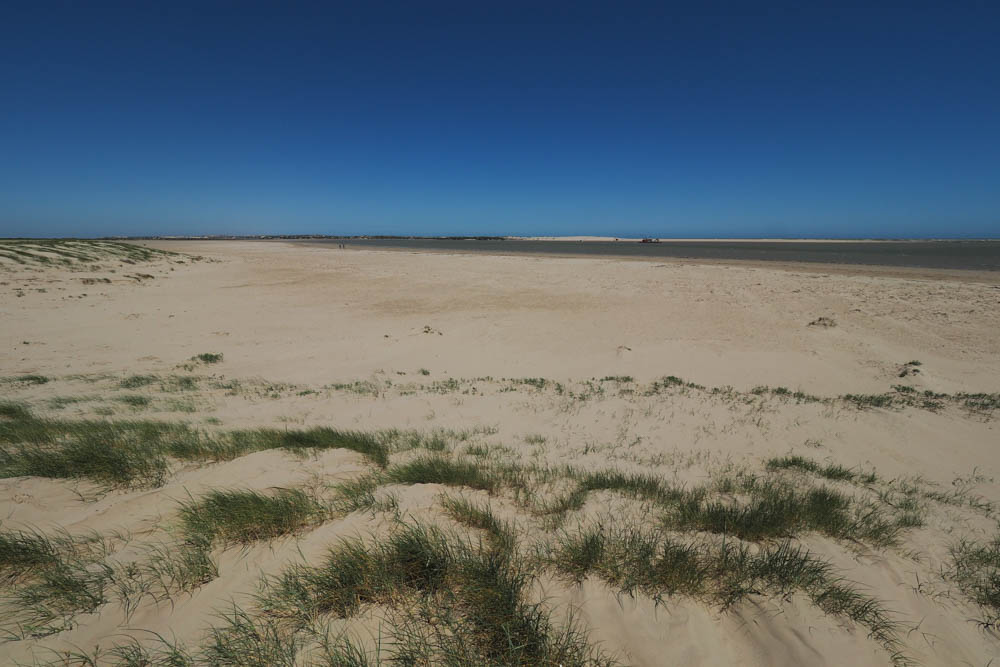 The mouth of the Murray River