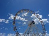 The. Skyline Wheel