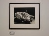 Photo Elysee Exhibition (Man Ray - Liberating Photography), Platform 10, Lausanne CH