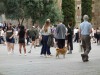 People and their dogs but not as many as Italy, Barcelona ES