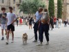 People and their dogs but not as many as Italy, Barcelona ES