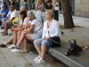 People and their dogs but not as many as Italy, Barcelona ES