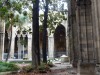 Thirteen geese live in the cloisters at the cathedral in Barcelona ES