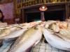 Street market in Ortigia IT