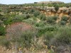 Kolymbethra (Greek for swimming pool), Valley of the Temples, Agrigento IT