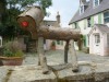 A friendly greeting, Sark, Guernsey