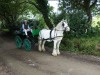 Horses and carts, tractors and bikes are the transport on Sark, Guernsey