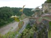 Clifton Suspension Bridge (1836)