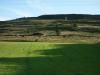 Our view from the ‘Shepherd’s Hut’ at dinner time - for the cows