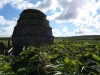 Rendall Doocot (1648)