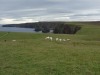 The view from Duncansby Head