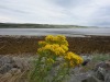 On the road to Ullapool towards Durness