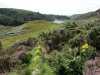 On the road to Ullapool towards Durness