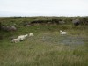 Onlookers at a passing place