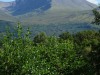 A much better view of Ben Nevis