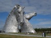 The Kelpies (35 metres high)