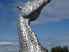 The Kelpies (35 metres high)