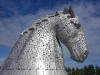 The Kelpies (35 metres high)