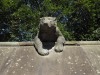 The Animal Wall at Cardiff Castle (1880s’)