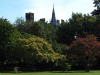 Cardiff Castle from Bute Park