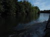 Along the Taff River