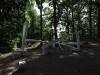 Sculpture Walk in Forest of Dean