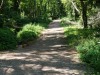 The path to Watcombe Beach, Torquay UK