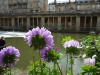 Pulteney weir, Bath, Somerset UK