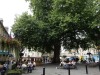 Kings-Mead Square with another big tree, Bath, Somerset UK