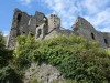 Carlingford Castle (13th Century)