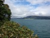 Lake Carlingford