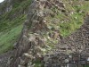 Giant’s Causeway (Busier than it was 50 years ago)