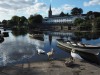 Swans and signets on the Garavogue River Sligo