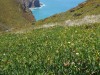 Cabo da Roca (The most western point of Continental Europe)