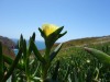 Cabo da Roca (The most western point of Continental Europe)