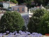 National Palace of Sintra gardens