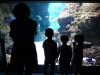 Brianna at the acquarium at the BioDoma, Parques de las Ciencias (Science Park), Granada ES