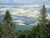 Châtel (Altitude 1,432 m)