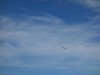 A glider over Châtel