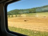 The train trip from Geneva to Yverdon-les-Bains